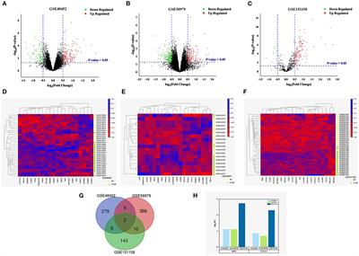SPP1 and CXCL9 Promote Non-alcoholic Steatohepatitis Progression Based on Bioinformatics Analysis and Experimental Studies